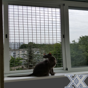 Easily removable lattice to protect animals from falling out